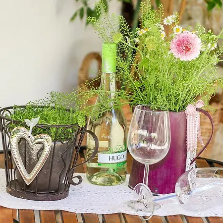 Auszeit * ザールフェルデン・アム・シュタイナーネン・メアー